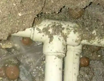 策勒测漏水多少钱