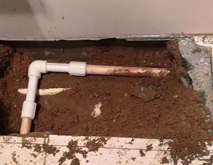 策勒测漏水哪家好