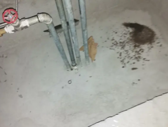 策勒卫生间测漏水价格明细